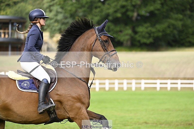 250831A-083139-08982 - Cls 34 Snr Foxhunter