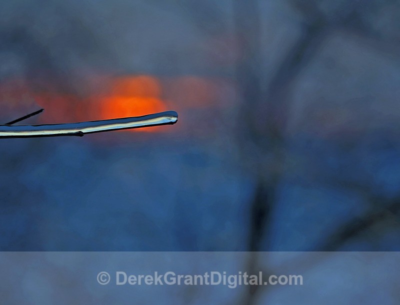 Frozen Solid - Extreme Weather