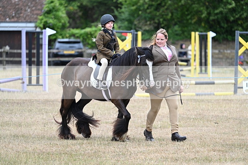WJ7_8150 - Class 4 Prettiest Mare up to 14.2hh