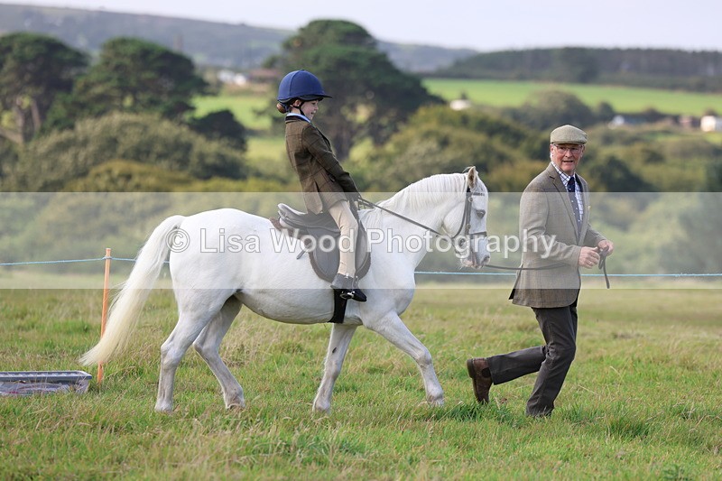 3E7A3471 - Class 2: Lead rein