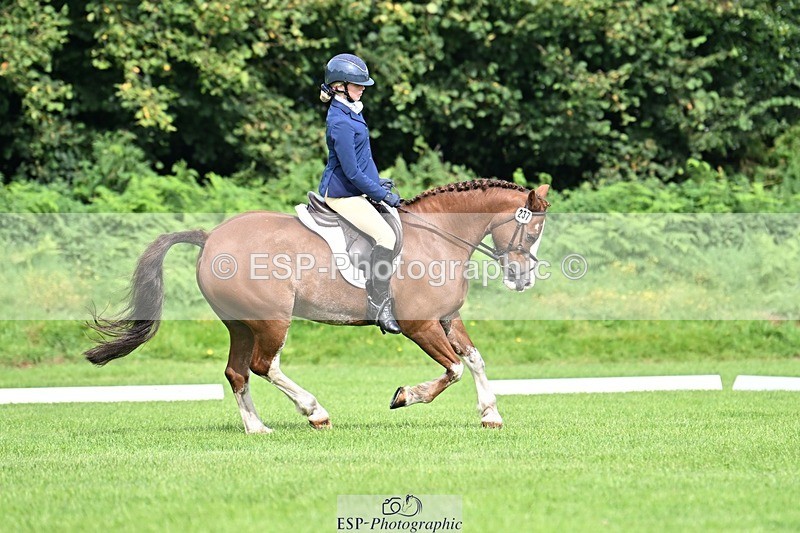 230826-100636-16373 - Sections A & B 10 to End