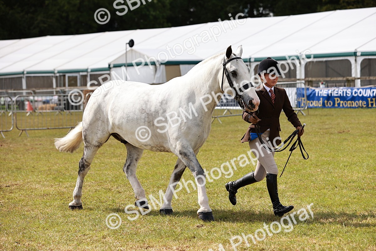 SBM_13137 - Class 85-87 - RIHS Cobs