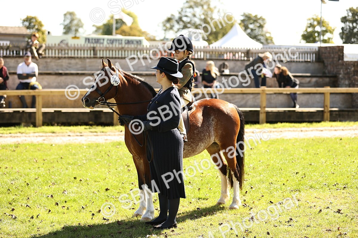 SBM_19283 - S3 - TSR Ridden Pony Showing