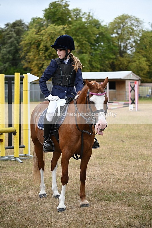 WJ6_0441 - Class 13 Novice Jumping 60cm