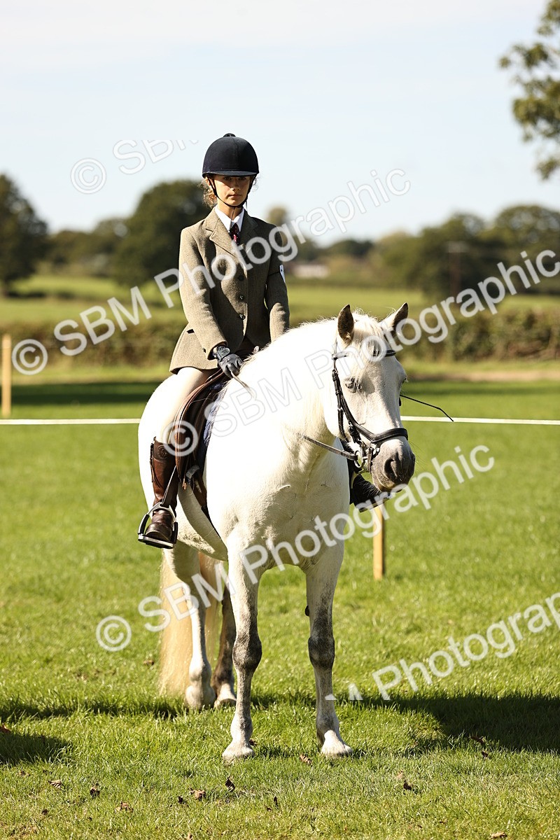 SBM_19171 - S3 - TSR Ridden Pony Showing