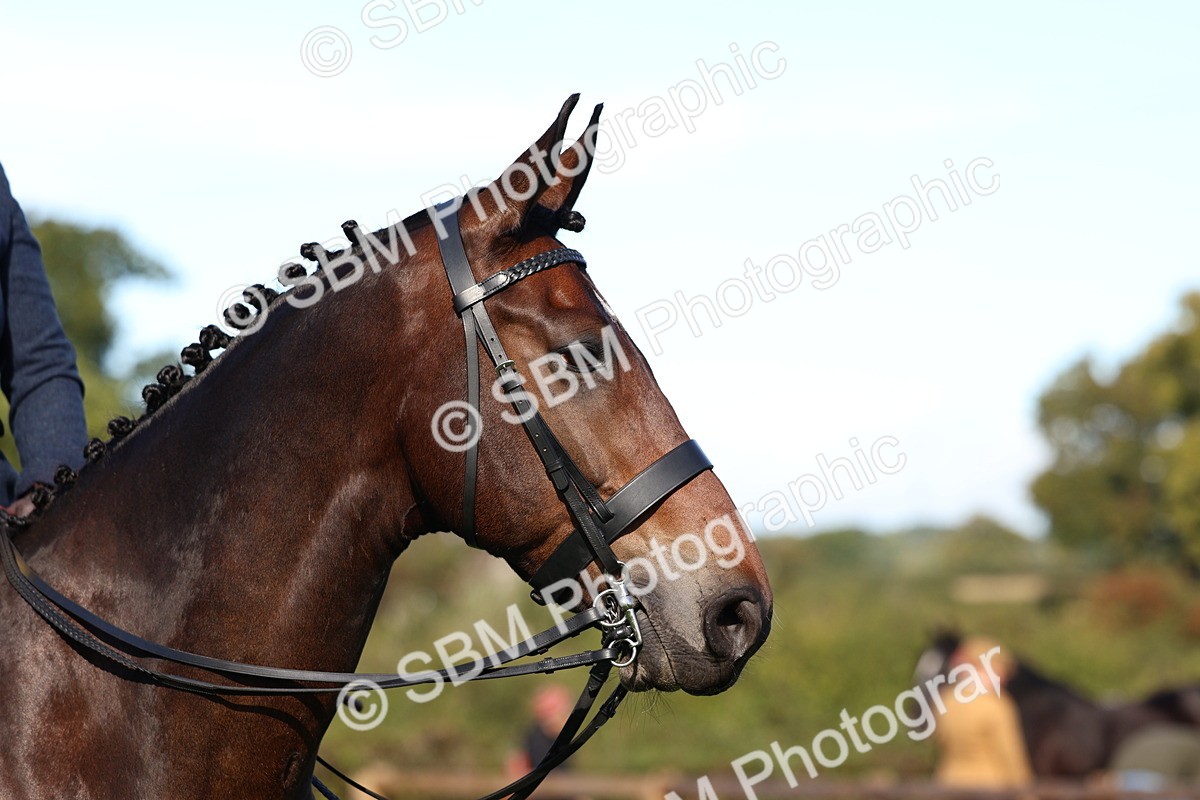 SBM_36975 - S11 - Best Ridden Horse & Pony