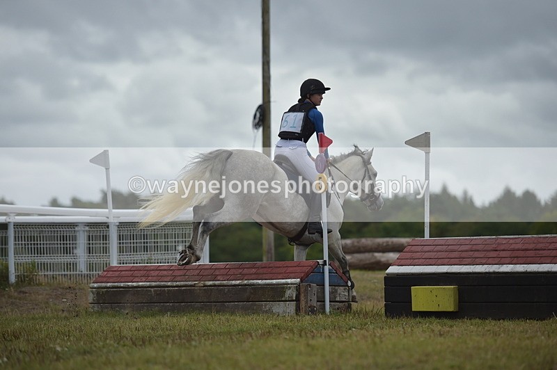 NGP_2570 - XC Time 11:37 to 11:57