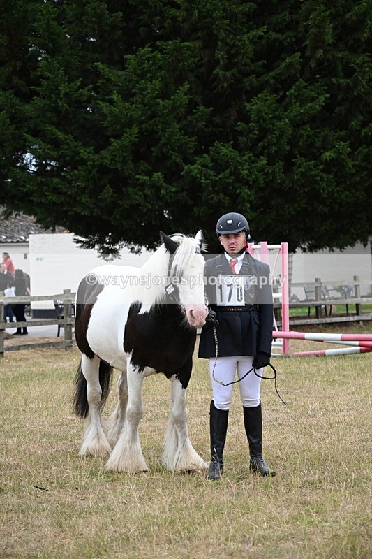 WJ6_8312 - Class 10 Coloured in Hand