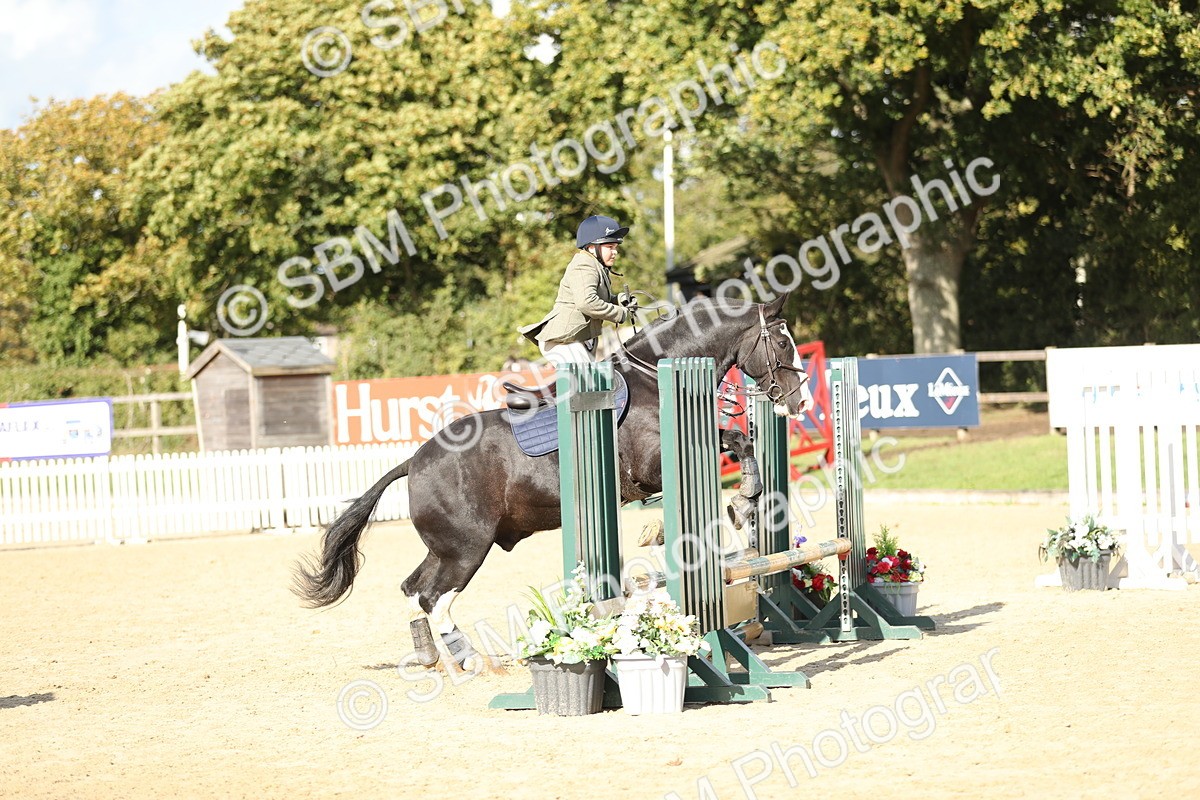 SBM_49563 - J22 - Junior Horse 65cm Championship