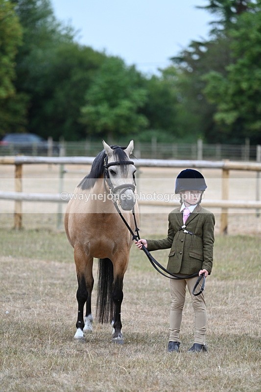 WJ7_9668 - Class 5 Most Handsome Gelding (up to 14.2hh)