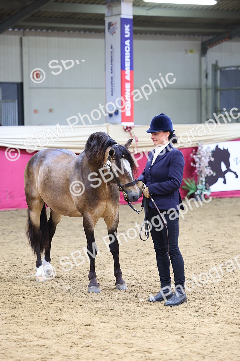 SBM_23224 - Supreme Final - IH Champion