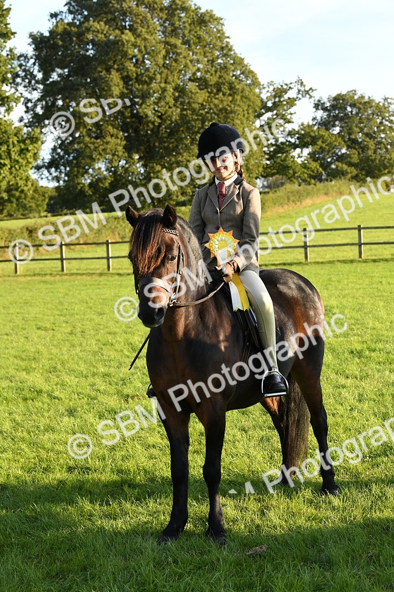 SBM_54174 - S23 - 1st Ridden Mountain & Moorland Pony