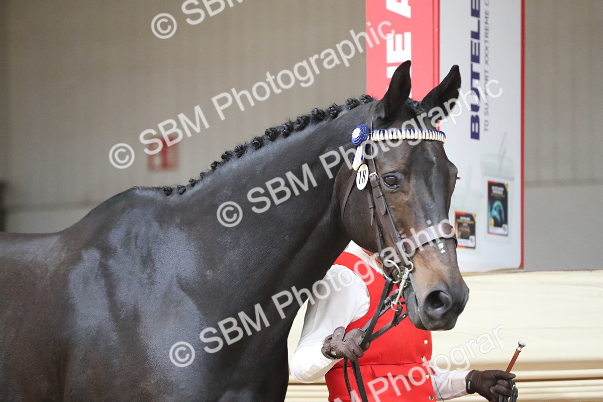 SBM_06215 - Class 9R Regional- IH Pre Vet