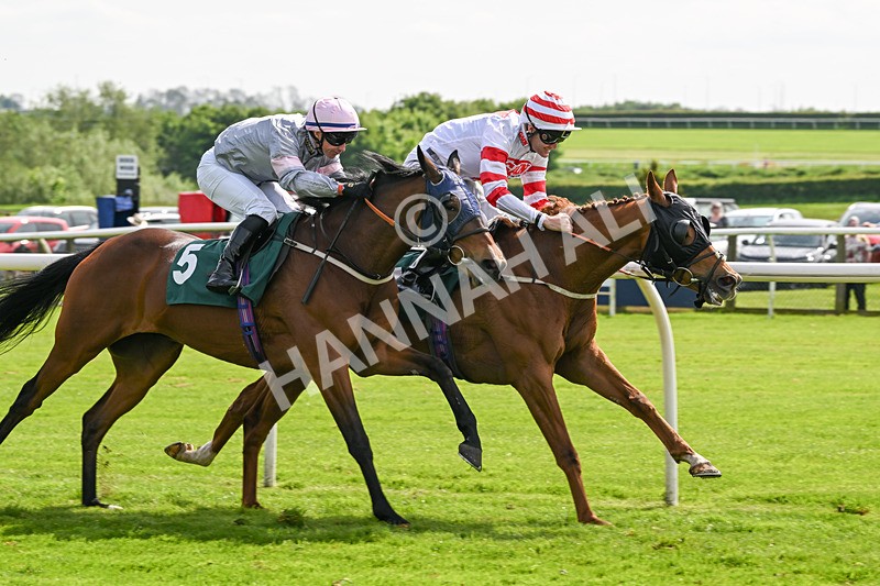 130524-Race 3-Animato-0272 - Race 3