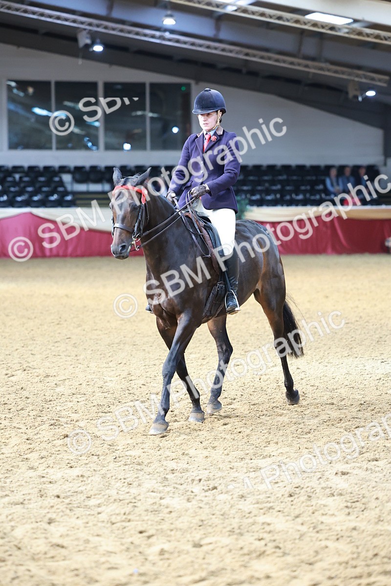 SBM_11884 - Class 102 - Equitation (Best Rider) Adult