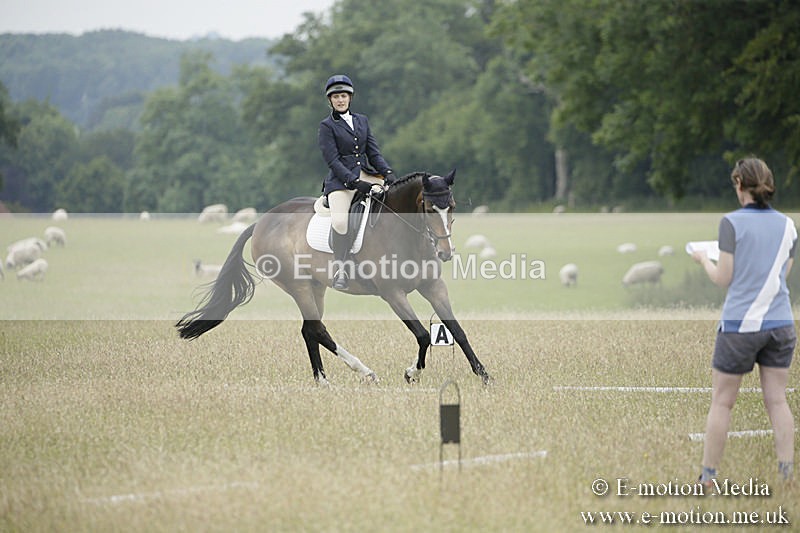 B230619-0898 - Bourne Valley Riding Club Summer Show 23/06/19