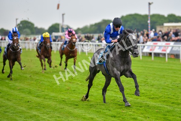 190523-Race 5-Mostabshir-0906 - Race 5 4.10pm Darley Novice Stakes