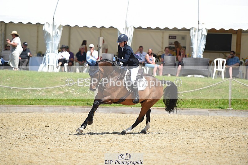 230528-115234-15421 - 369-GIDO_G-Sally_Chamberlain-SUNTrotUp+SJ