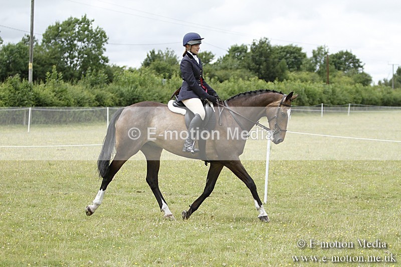 BVR160717-2284 - Working Hunter Championship 16/07/17