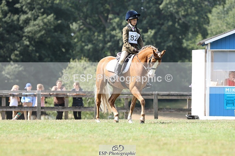 250823A-135409-31384 - Arena D