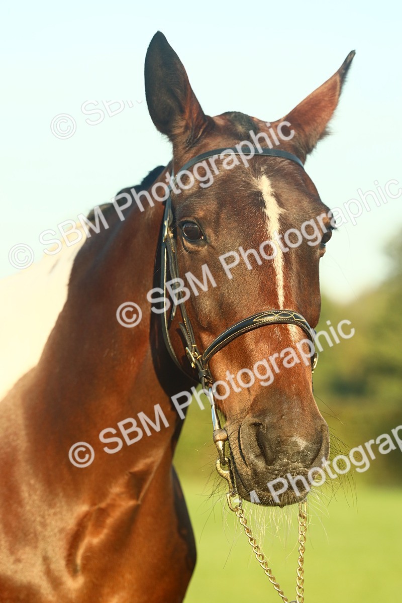 SBM_56589 - S36 - Starters Best Turnout