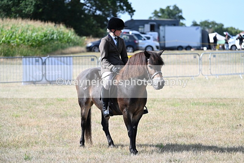 WJ7_2731 - Class 8 Ridden Tack & Turnout