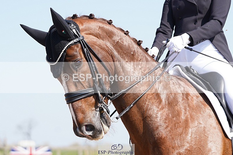 250404-144142-06752 - 149-Nathalie.Wahlund-Gorklintgards.Scorpion