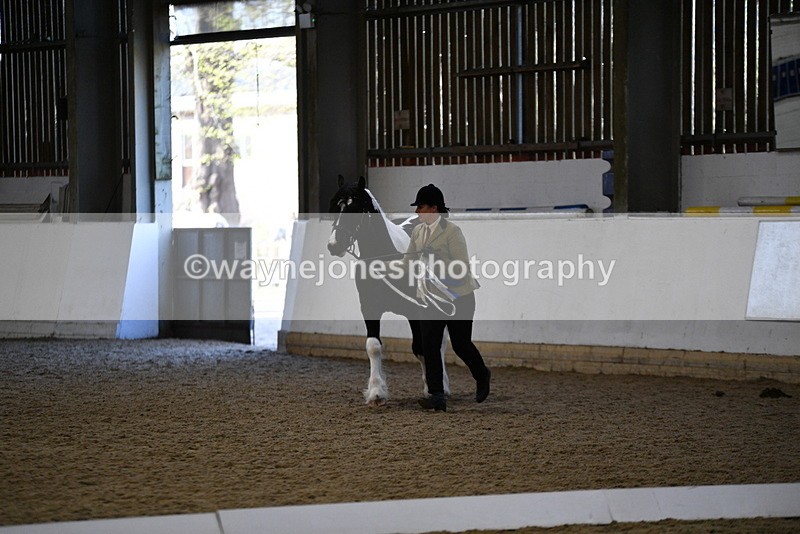 WJ5_3752 - Class 5 In Hand Veterans