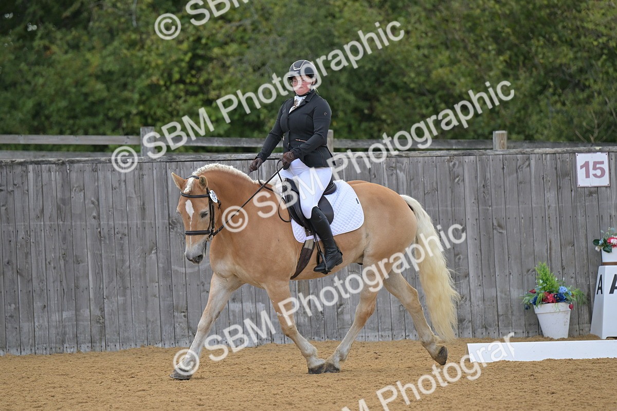 SBM_11155 - D3 - Small Tour Championship Intro 3