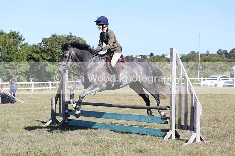 3E7A5507 - Class 3: Working Hunter 70cm