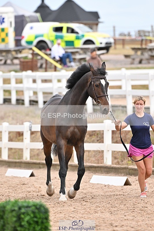 250716-153006-01966 - Trot Up 3.30 to 4.30