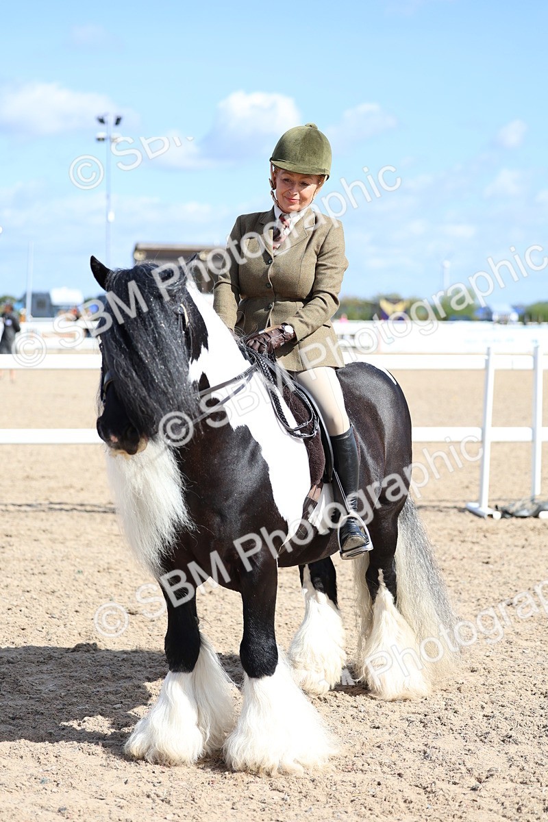 SBM_11425 - Class 307 - Ridden Coloured Pony