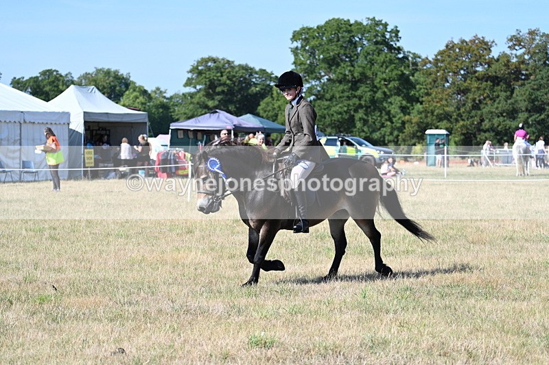 WJ7_3299 - Class 8 Ridden Tack & Turnout