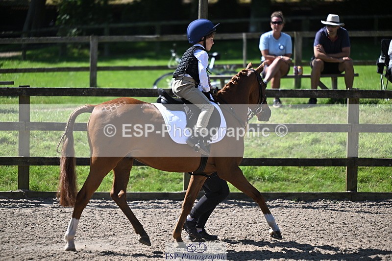 240729B-110559-02223 - Showjumping Competition