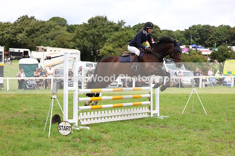 3E7A7158 - Class 5: Senior British Novice/90cm open