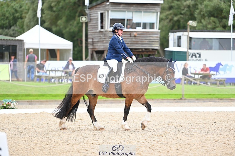 230813-142309-07749 - Cls 13 Medium Bronze 13.15 to End