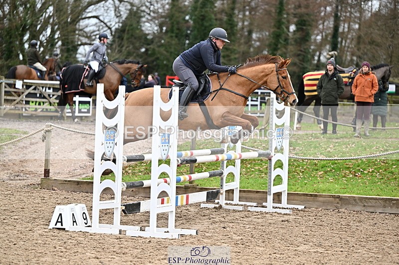 250201A-110916-00342 - Cls 02 Local Horse 100cm