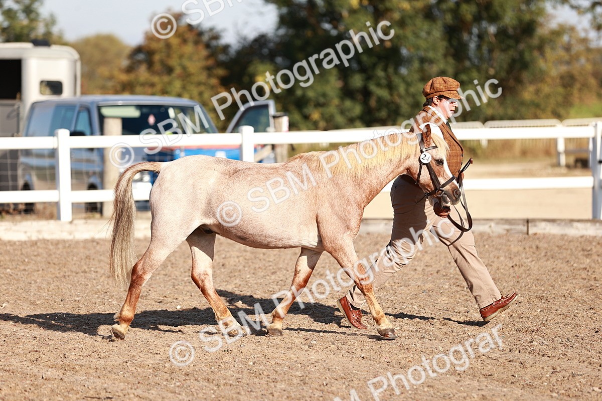 SBM_11387 - Class 402 - IH  Veteran pony