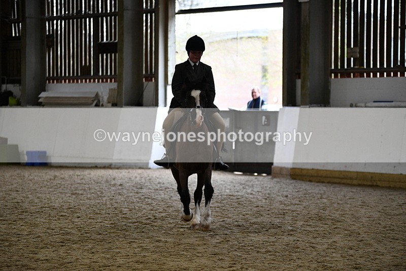 WJ5_7230 - Class 11 Ridden PC - RC Pony