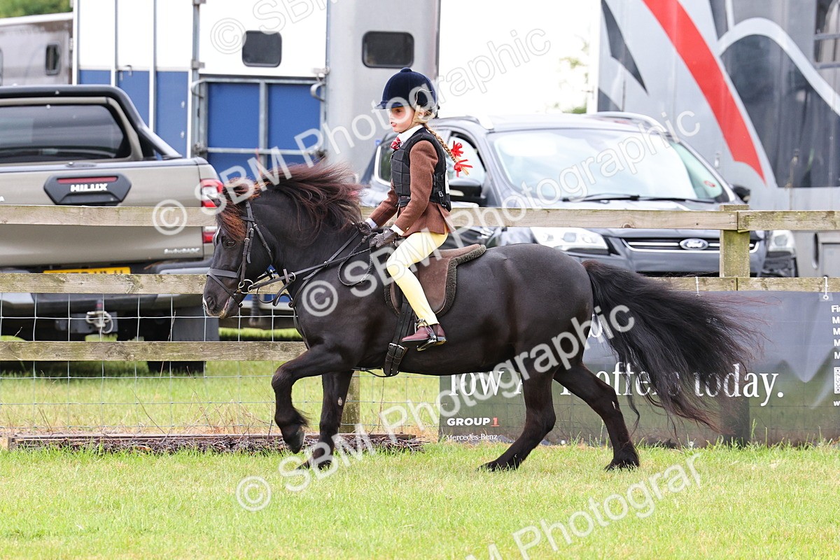 SBM_08678 - Class 42-43 - LIHS BSPS Heritage Working Sports Pony