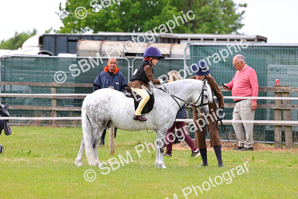 SBM_08274 - Class 42-43 - LIHS BSPS Heritage Working Sports Pony