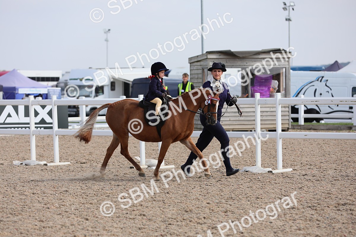SBM_13971 - Class 309 Lead Rein Pony