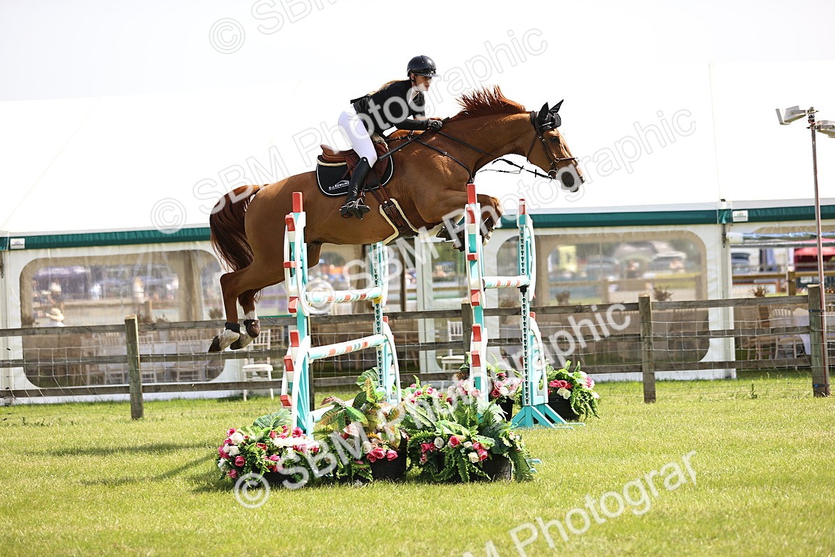 SBM_03110 - Class 201 - British Horse Feedds Speedi Beet HOYS Grade C