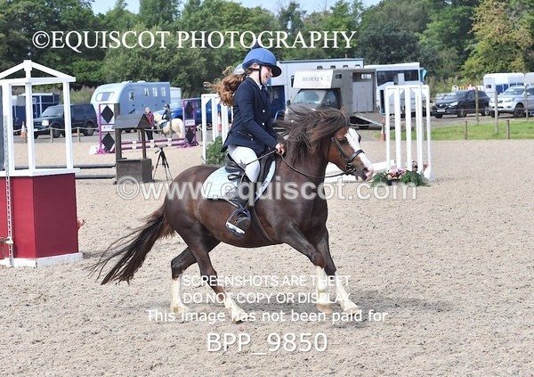 BPP_9850 - CLASS 3 Derby Show Jumping 40CM