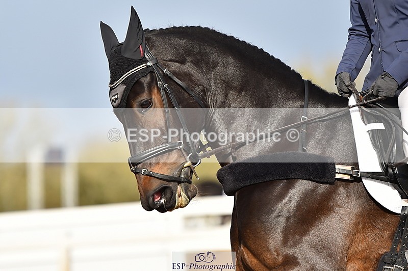 231104A-112008-01524 - Cls 5 Novice 37A