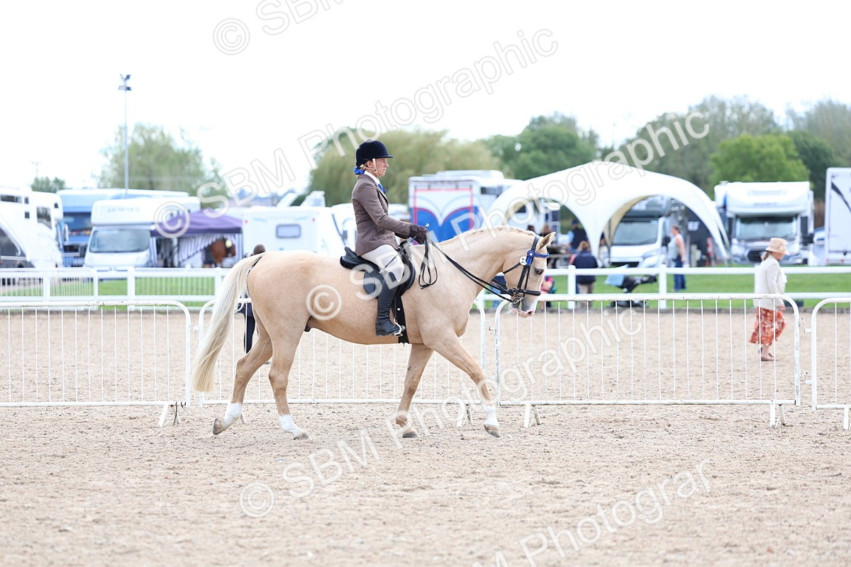 SBM_17050 - Class 315 - Best Horse - Rider Combination