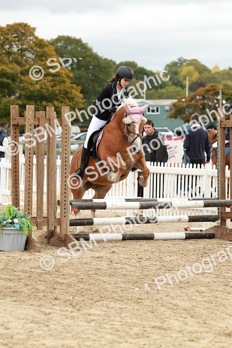 SBM_67104 - J13 - Junior Pony 60cm Championship