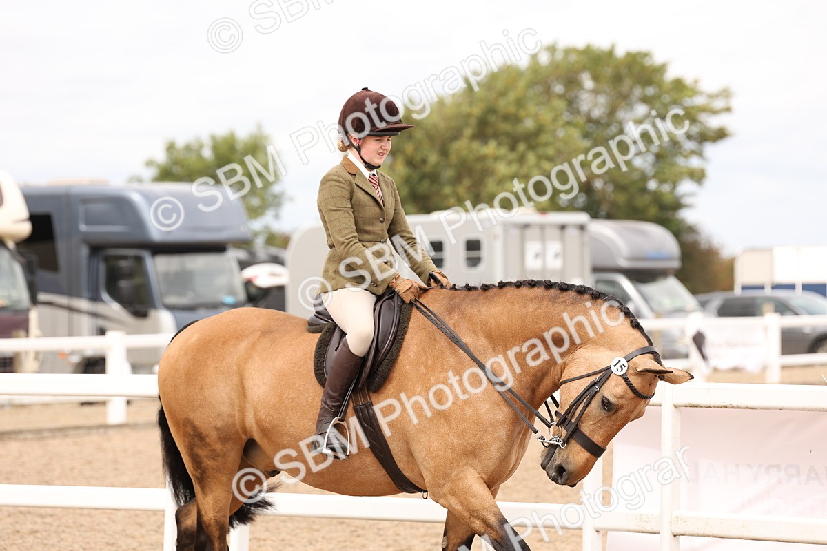 SBM_17178 - Class 213 - Ridden Hunter - Large