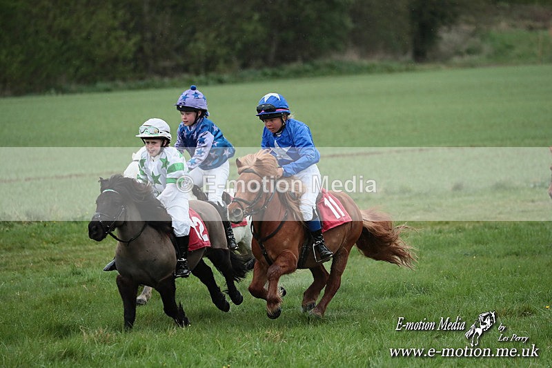 SHETPR 210425 185 - Shetland Ponies Paxford Races 21/04/25