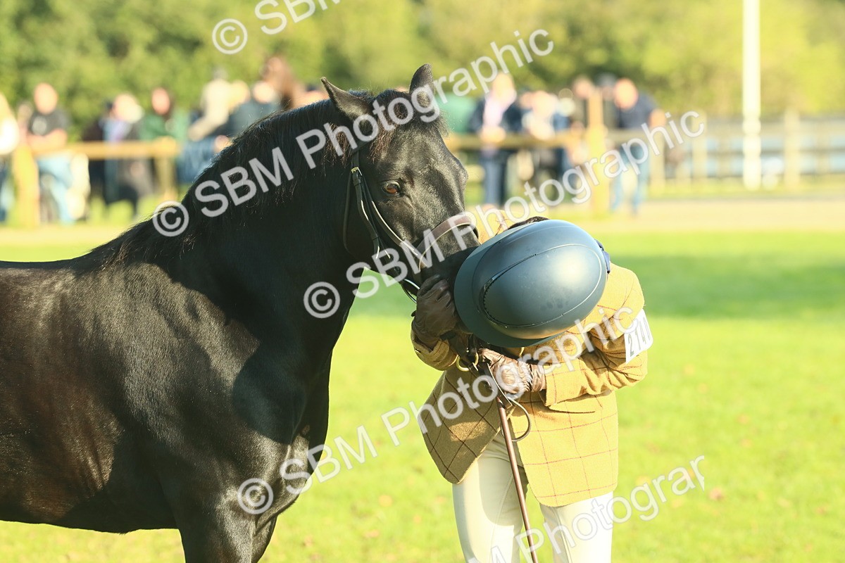 SBM_58450 - S37 - Starters In Hand Showing
